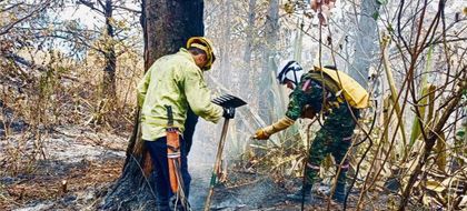 Imagen de  Asointermedias alerta sobre incendios forestales y pide al Gobierno nacional apoyo urgente a los alcaldes