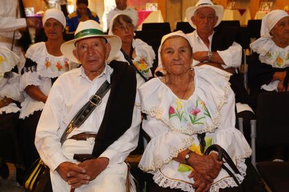 Imagen de  Asocolflores entregará 600 mil tallos durante la Feria de las Flores de Medellín
