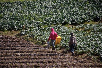 Imagen de  ¡Apoye el agro colombiano! Vaya al mercado solidario por los campesinos de El Santuario