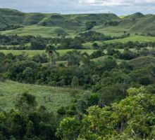 Priorizan proyectos ambientales en presupuesto del 2027