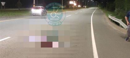 Imagen de Investigan la muerte de un hombre en la autopista; el cuerpo tenía señales de violencia