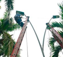 Emcali asumió el alumbrado público mientras avanza la definición de la fase 2