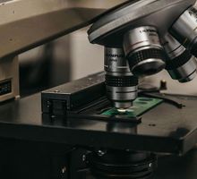 Lipoproteína A: la prueba genética que las guías recomiendan medir al menos una vez en la vida