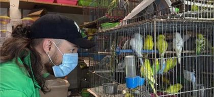 Imagen de  Rescataron 46 animales con signos de maltrato en operativo en Plaza Minorista de Medellín