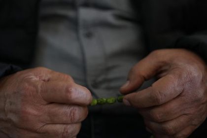 Imagen de Científicos latinos en EE. UU. hallan un biomarcador que podría detectar temprano el Alzheimer