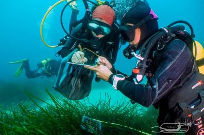 Observadores del Mar: ciencia ciudadana al servicio de la conservación de los océanos