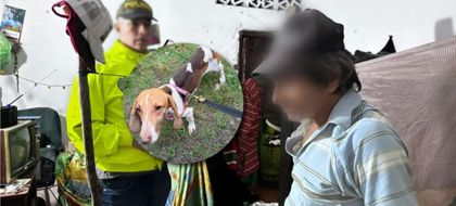 Imagen de  ¡Nuevo caso de maltrato animal! Capturaron a un hombre en Dabeiba por presunto abuso de una perrita