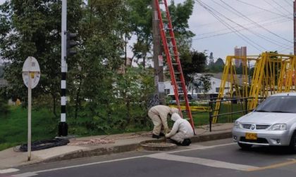 Imagen de  Rehabilitan la vía de Autolarte en Rionegro tras ataque de abejas