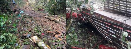 Imagen de Conductor de Sonsón murió en accidente de tránsito cuando llevaba aguacates para Bogotá