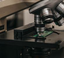 Investigan expansión en España del serotipo 4 de neumococo