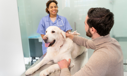 Transmisión de enfermedades de animales a humanos: ¿Cómo evitarlas?