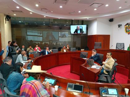 Imagen de  Comisión de Ordenamiento de la Cámara escuchó argumentos para el Área Metropolitana del Valle de San Nicolás