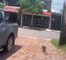Terremoto en Chiapas de magnitud 7.4: qué se sabe de la alerta de tsunami, las réplicas y el reporte oficial