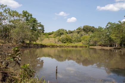 Imagen de  Los humedales están bajo desafíos del fenómeno de El Niño, altera drásticamente su ecología