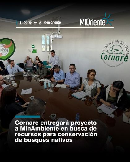 Imagen de  Cornare entregará proyecto a MinAmbiente en busca de recursos para conservación de bosques nativos