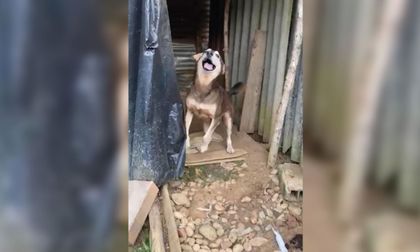 Imagen de  En San Rafael denuncian mal estado del albergue municipal