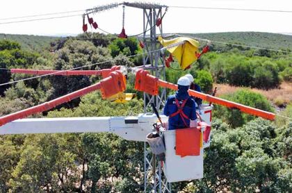 Imagen de Endesa ensaya nuevas tecnologías para proteger a las aves de la red eléctrica
