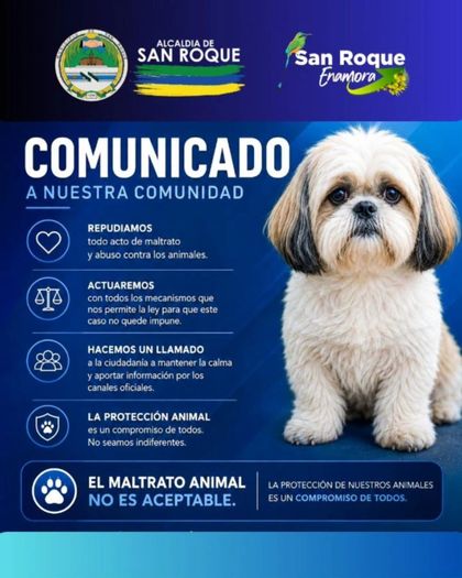 Imagen de  ¡Atroz! Murió Luna, la perrita que fue abusada, malherida y abandonada en una quebrada en San Roque