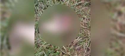 Imagen de  Policía Ambiental esclareció hallazgo que hizo una mujer en su patio: la mitad del cuerpo de un animal