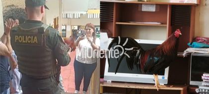 Imagen de En un colegio de Andes recibieron como héroe a ´Claudio´, un gallo que estaba desaparecido. Cada día va a la institución
