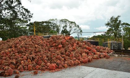 Exportaciones agropecuarias y agroindustriales marcan récord histórico