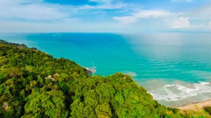 Imagen de  El Darién chocoano fue reconocido como Reserva de Biósfera por la Unesco