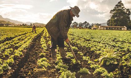 Banco Agrario y Usaid anuncian acuerdo para promover finanzas equitativas en Colombia