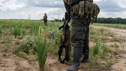 Imagen de  Ideas para la Paz advierte de aumento del 23 % en miembros de grupos armados y récord en disputas