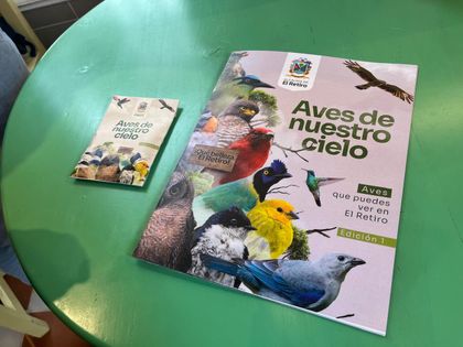 Imagen de  El Retiro ahora cuenta con un álbum con más de 50 imágenes de aves de su territorio