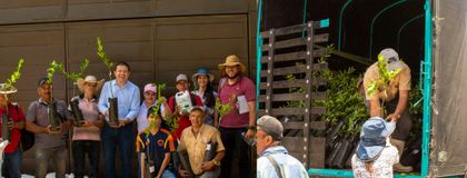 Imagen de  Familias campesinas de Abejorral recibieron 10.250 árboles de limón tahití