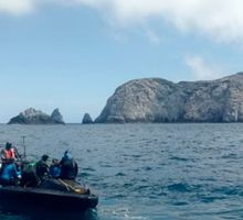 Cooperación internacional para proteger Pacífico Este Tropical