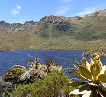Areas protegidas bajo monitoreo tras el sismo