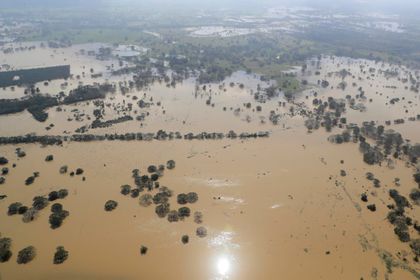 Imagen de Inundaciones amenazan el corazón bananero de Colombia con más de 1200 hectáreas afectadas