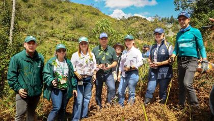 Imagen de En Marinilla ya han sido sembrados cerca de 50 000 árboles para proteger fuentes hídricas