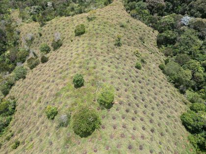 Imagen de Gobernación de Antioquia invita a los municipios a postular predios para reforestación y protección de fuentes hídricas