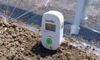 Riego inteligente reduce consumo de agua y energía