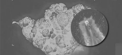Imagen de  Ocho personas murieron en nuevos bombardeos de Estados Unidos en el océano Pacífico