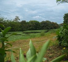 Charco Azul revive como ecoparque de la mano de la comunidad