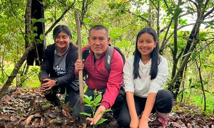 Impulsan reforestación en Macizo Colombiano