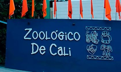 ¿Listo para volver? El Zoológico de Cali y el Jardín Botánico abren sus espacios para reencontrarse con la naturaleza