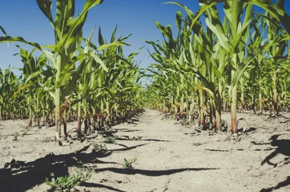 La Tierra entra en déficit ecológico el 30 de julio: consumimos 1,8 planetas