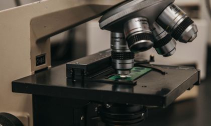 Investigan expansión en España del serotipo 4 de neumococo