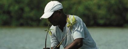 Imagen de  Bancolombia lanzó plan de créditos por $1 billón para proyectos de conservación de océanos