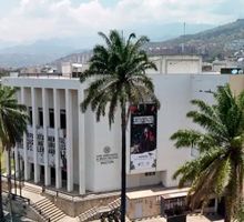 Museo de Ciencias Naturales lanza donatón de árboles de Navidad en Cali