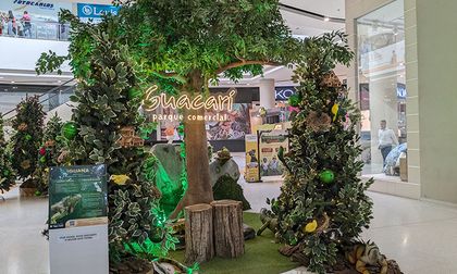 Guacarí vive una Navidad que vibra con la vida