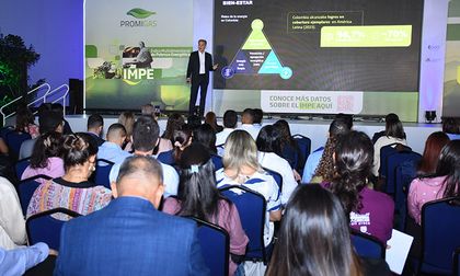 Colombia reduce la pobreza energética, pero el país avanza más lento de lo necesario