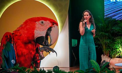 Cali presenta Ceiba, una cumbre sobre el saber ancestral y tecnología verde