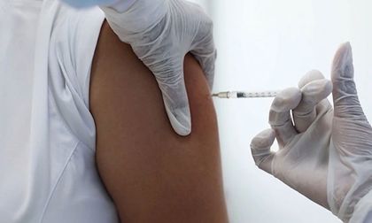 No hay casos de fiebre amarilla en el Valle