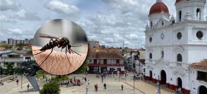 Imagen de  ¿Dónde vacunan contra la fiebre amarilla en Rionegro? Hay siete puntos