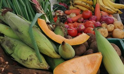 Mercados campesinos este puente festivo en Cali